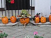 DSC02195.JPG