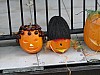 DSC02201.JPG