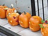 DSC02206.JPG