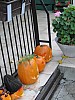 DSC02207.JPG