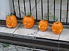 DSC02208.JPG