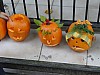 DSC02210.JPG