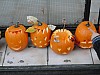 DSC02211.JPG