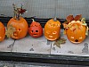 DSC02212.JPG