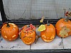 DSC02213.JPG