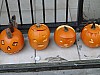 DSC02214.JPG