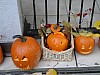 DSC02216.JPG