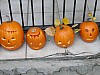 DSC02219.JPG