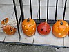 DSC02220.JPG