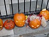 DSC02221.JPG