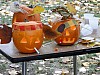 DSC02236.JPG