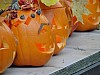 DSC02240.JPG