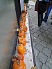 DSC02246.JPG