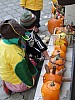 DSC02250.JPG