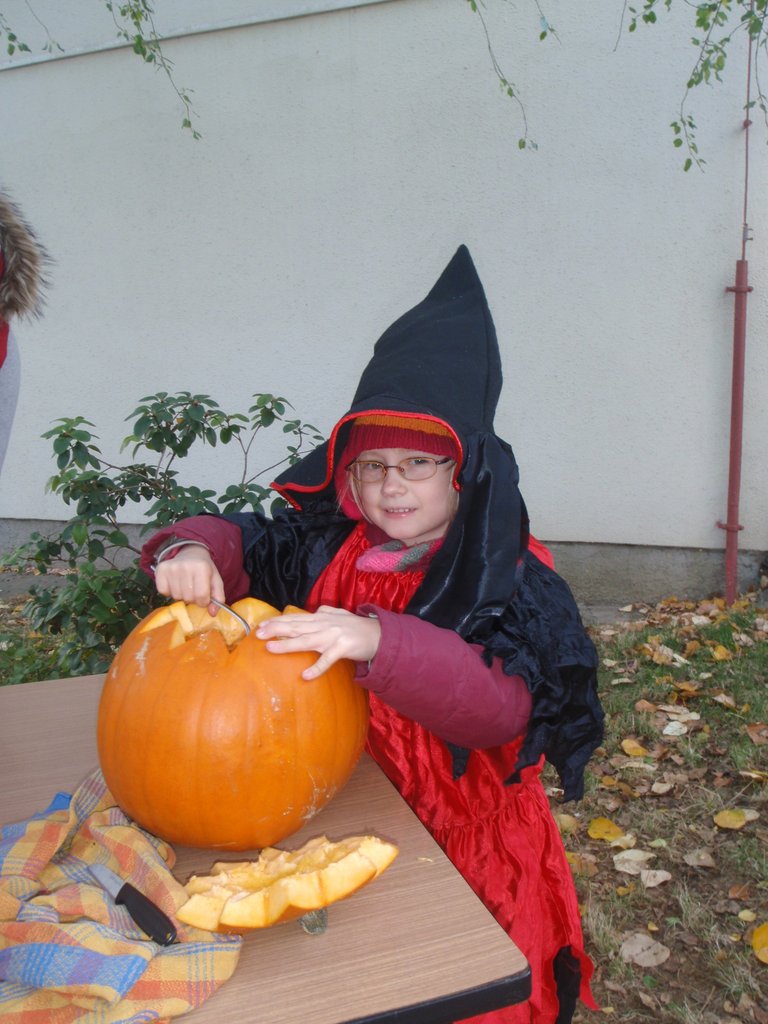 PA210008.JPG
