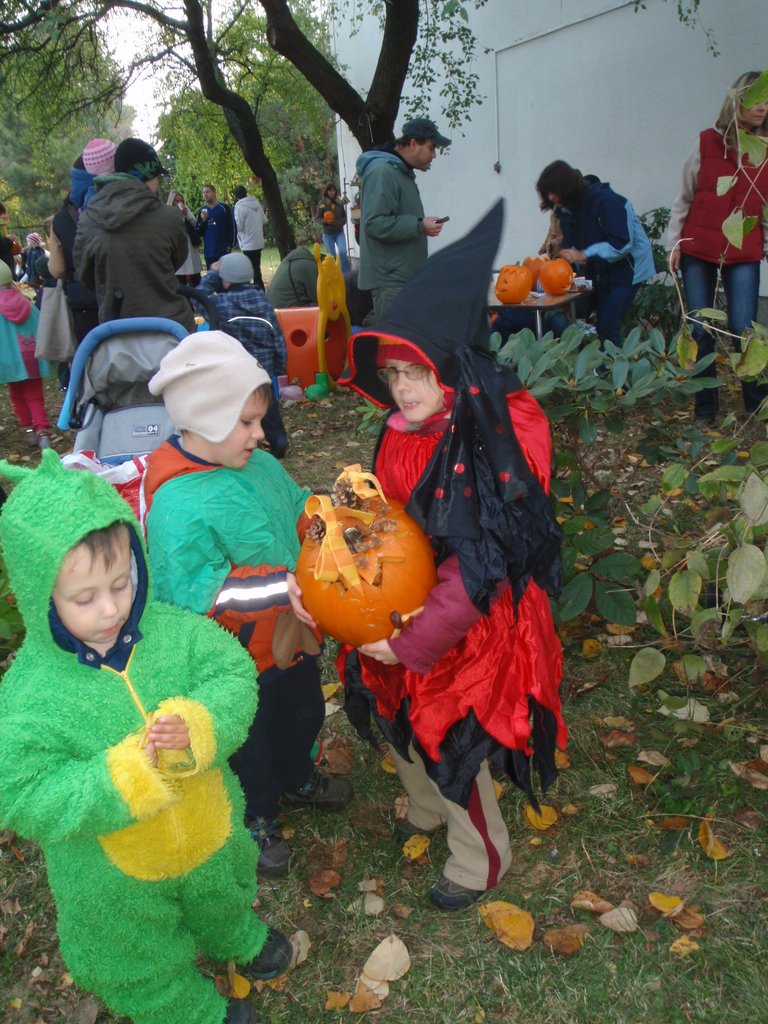 PA210017.JPG