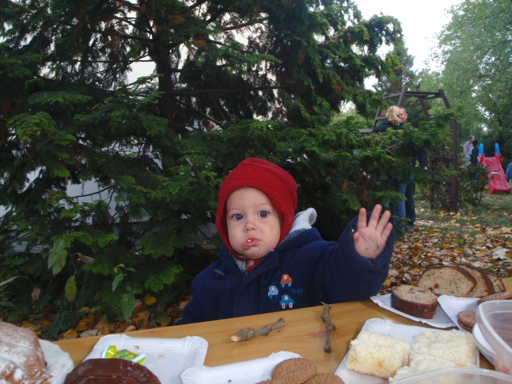 PA210029.JPG