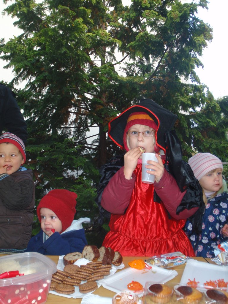 PA210035.JPG