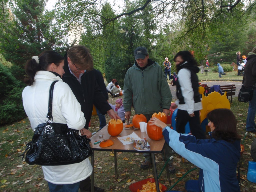 PA210038.JPG