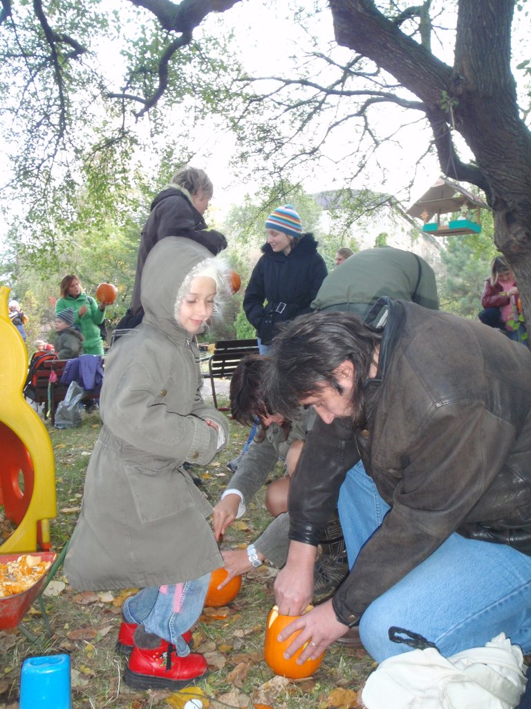 PA210039.JPG