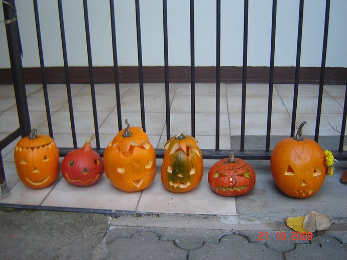DSC06669.JPG
