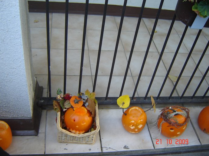 DSC06670.JPG