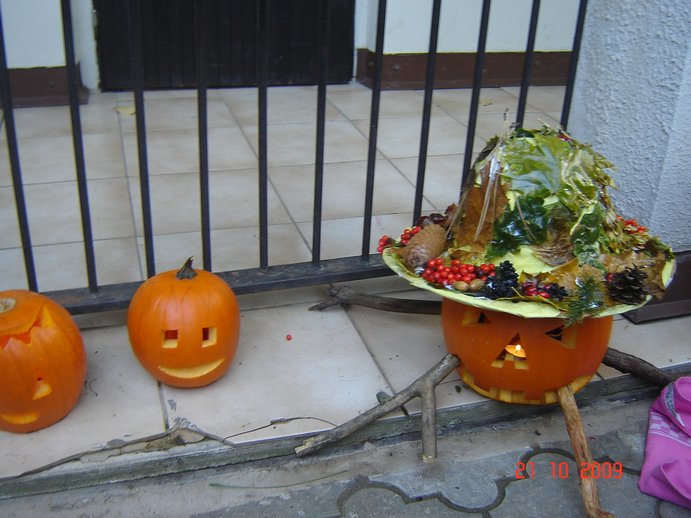 DSC06673.JPG