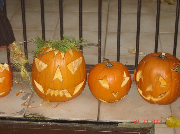DSC06685.JPG