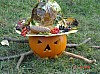 DSC06666.JPG