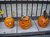 DSC06671.JPG