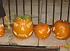 DSC06685.JPG