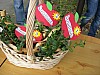 DSCN9099.JPG