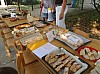 P9230069.JPG