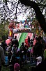 P5050118.JPG