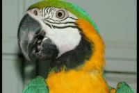 Návštěva ZOO