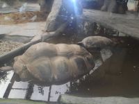 ZOO Praha - podruhé