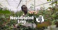 Výstava na stromech - Neviditelné trny
