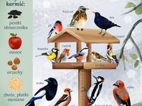 Ptačí strom - leden 2025