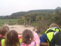 PA070032.JPG