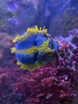 image_67200257.JPG