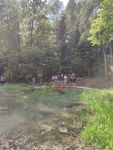 IMG_20220518_142810.jpg