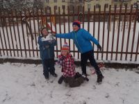 P1060036.JPG