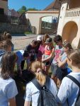 IMG_20240515_101908.jpg