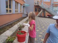 P9150003.JPG