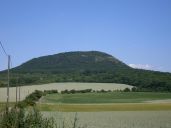 SDC15576.JPG