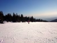 CameraZOOM-20150310154555590.jpg