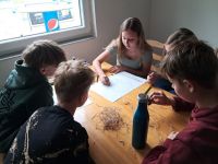 IMG-20250515-WA0004.jpg