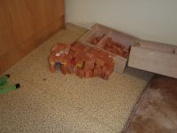 PC050011.JPG