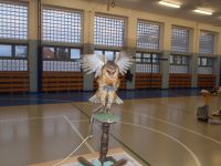 PC020033.JPG
