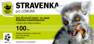 Lemur.png
